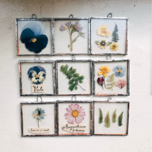 Multiple photo frames